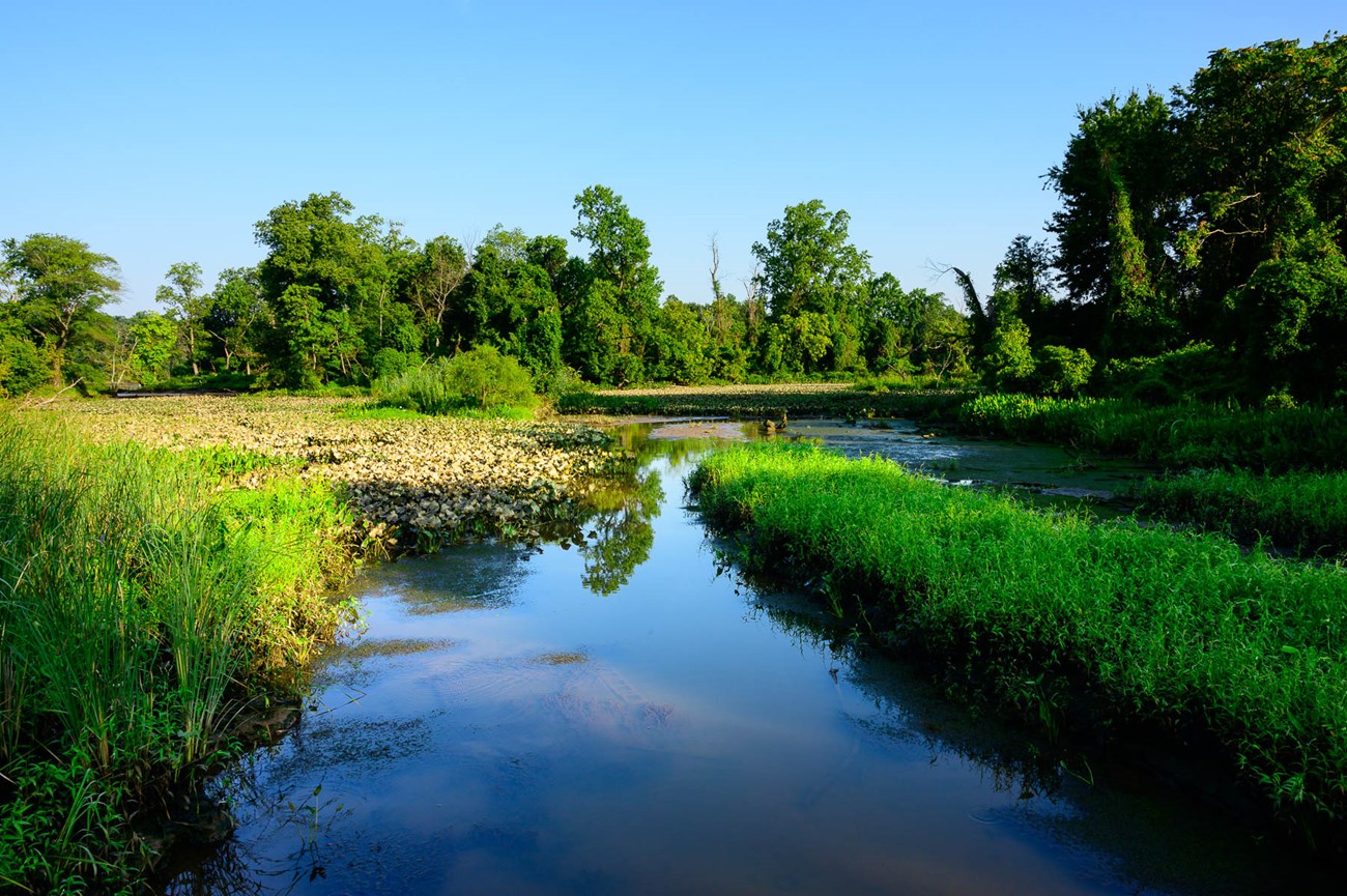 ANAC river picture